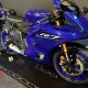 CRASH-PADY YAMAHA R7 2025-