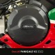 DUCATI Panigale V2 20-24 - osłony dekli