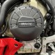 DUCATI SF V4 25-26 - osłony dekli
