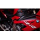 CRASH-PADY BMW S1000RR 19-